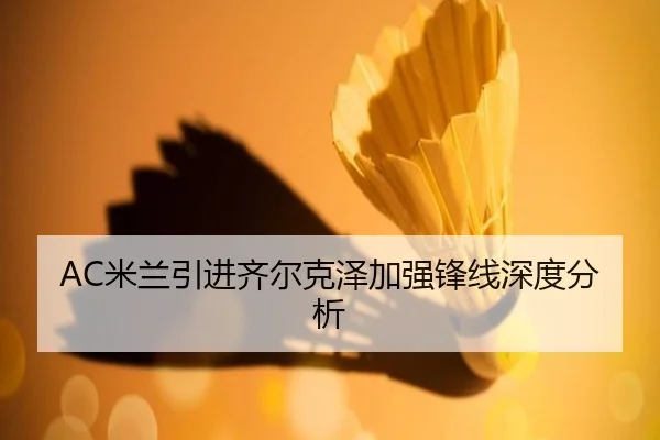 AC米兰引进齐尔克泽加强锋线深度分析