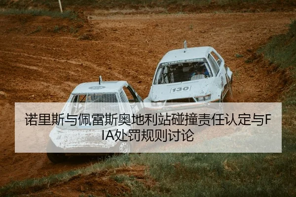 nuo-li-si-yu-pei-lei-si-ao-di-li-zhan-peng-zhuang-ze-ren-ren-ding-yu-chu-fa-gui-ze-tao-lun-2-708.jpg